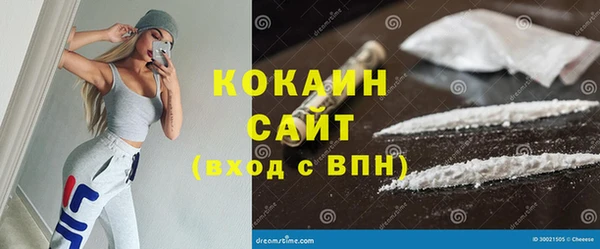 гидра Надым