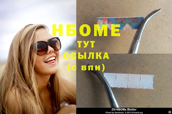 гидра Надым