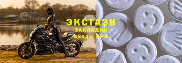 гидра Надым