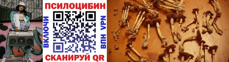 Псилоцибиновые грибы Magic Shrooms  Черняховск 